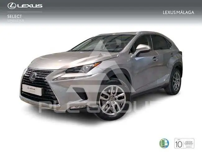 2018 Lexus NX300