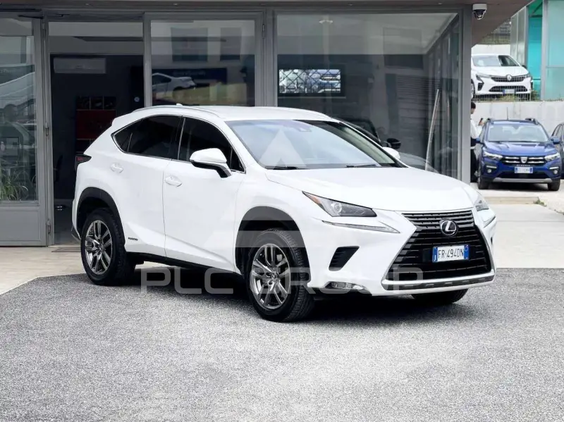 2018 Lexus NX300