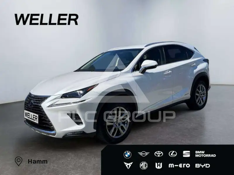 2018 Lexus NX300