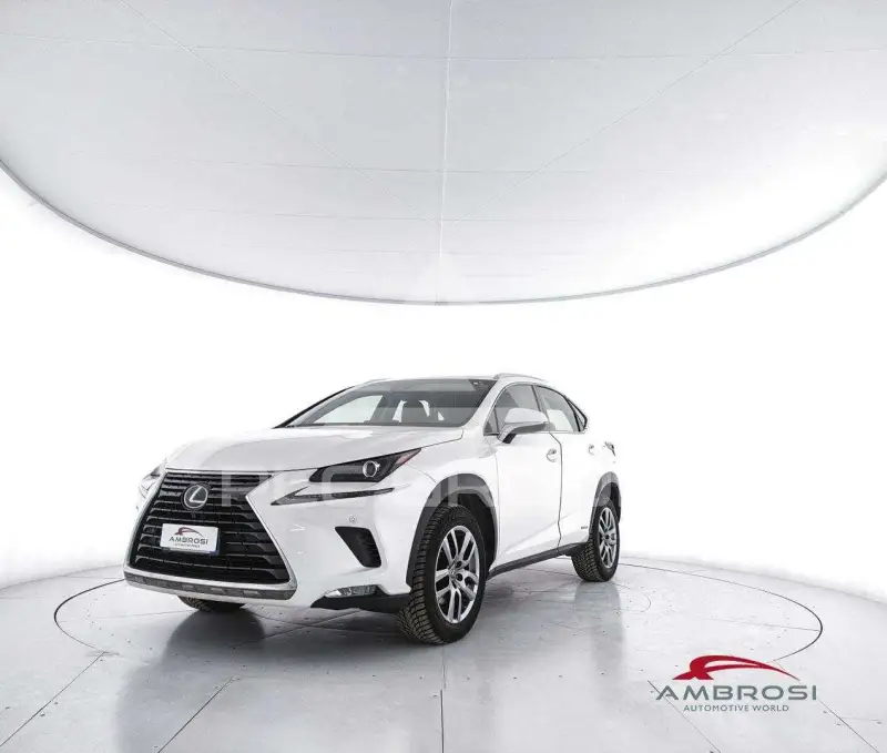 2018 Lexus NX300