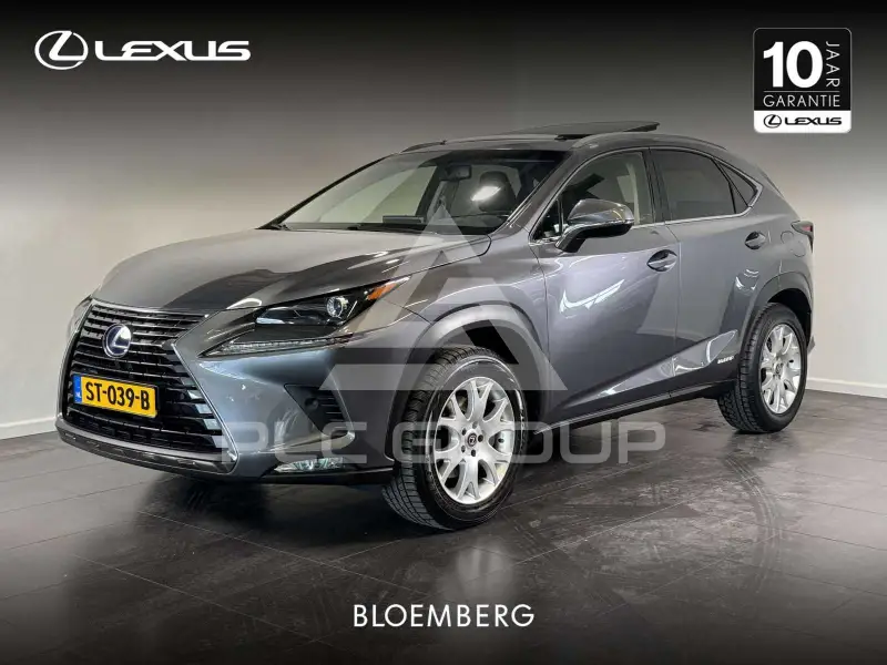2018 Lexus NX300