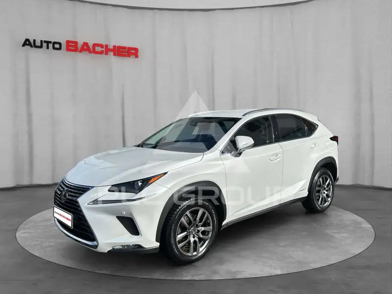 2018 Lexus NX300