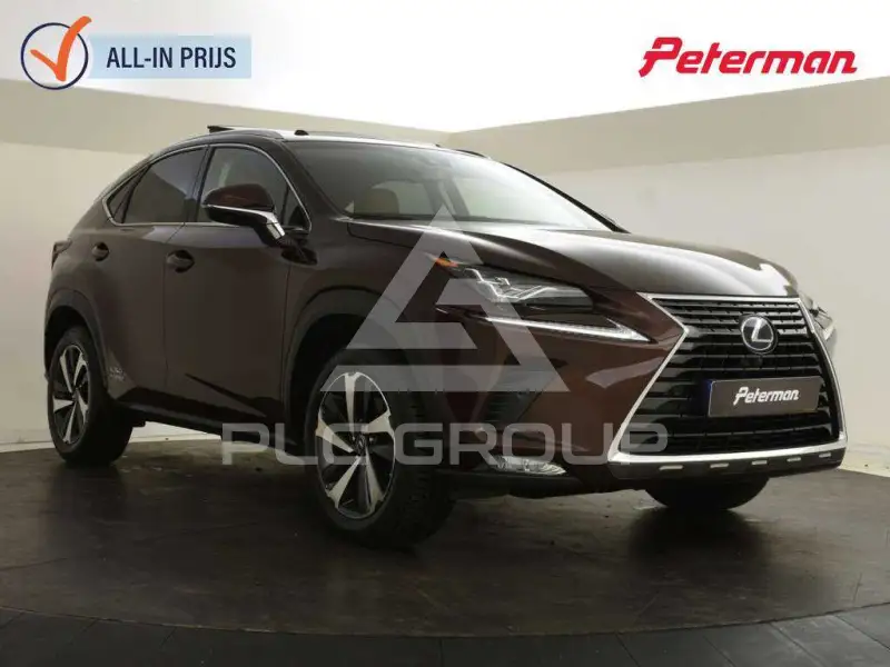 2018 Lexus NX300