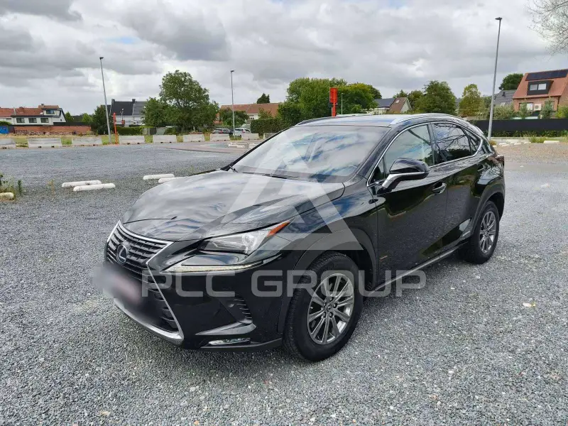 2018 Lexus NX300