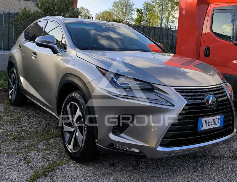 2018 Lexus NX300