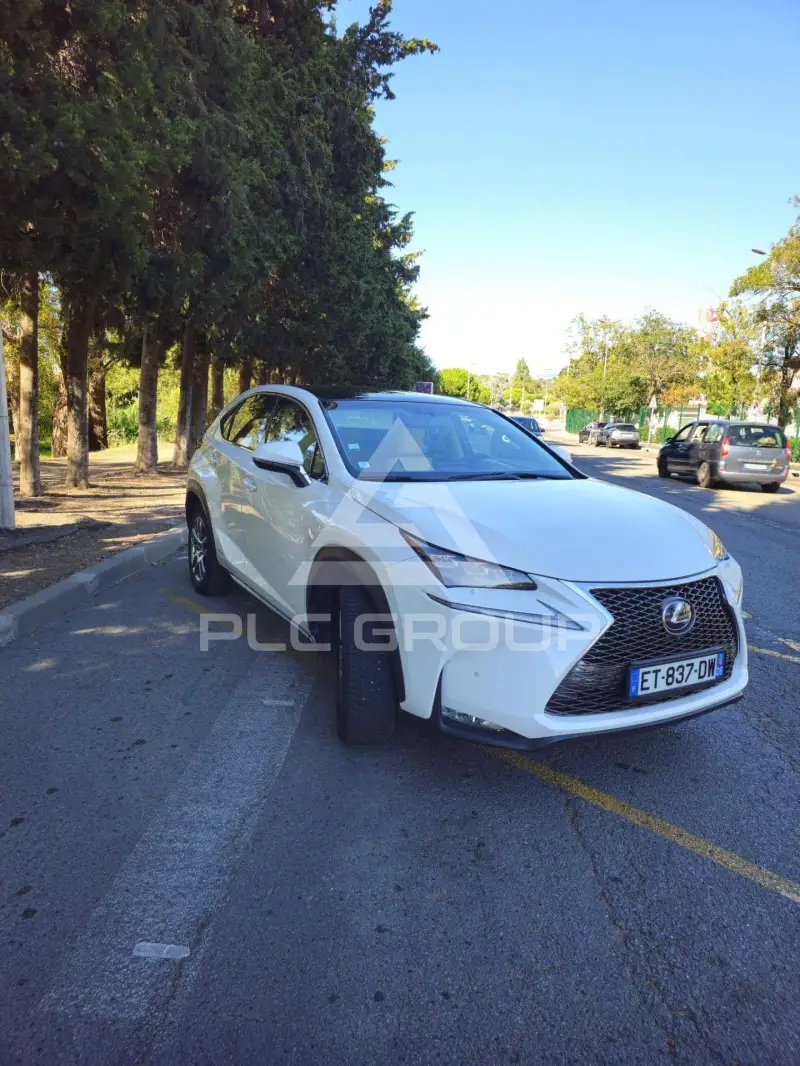 2018 Lexus NX300