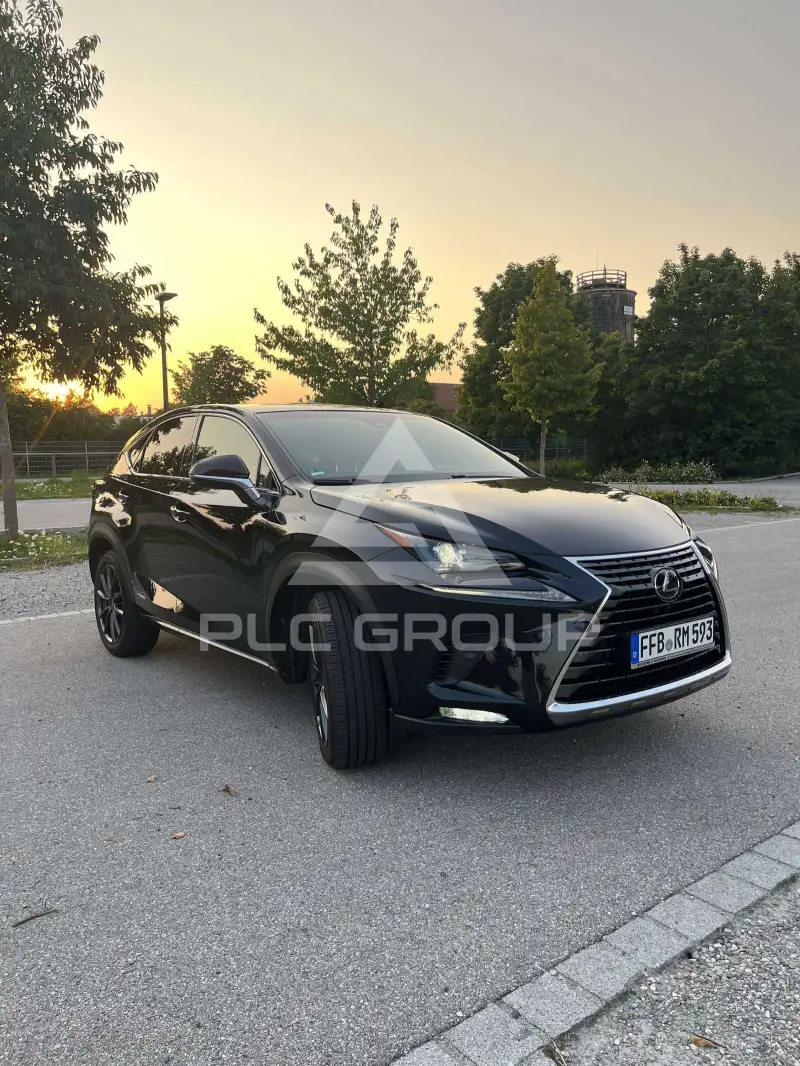 2018 Lexus NX300