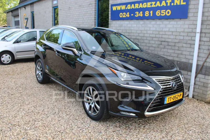 2018 Lexus NX300