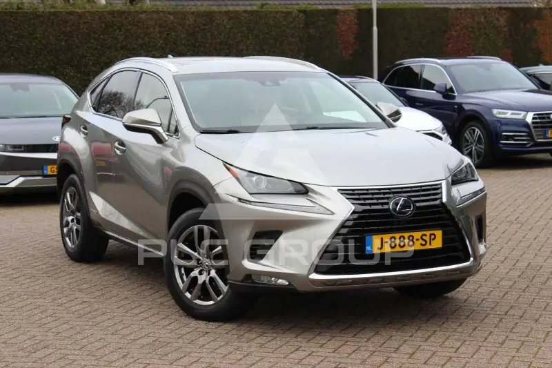 2018 Lexus NX300