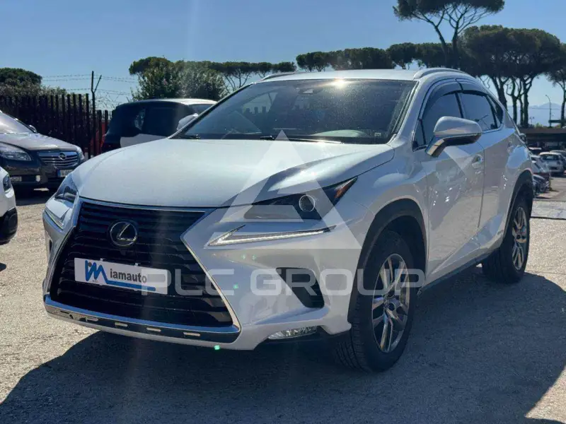 2018 Lexus NX300
