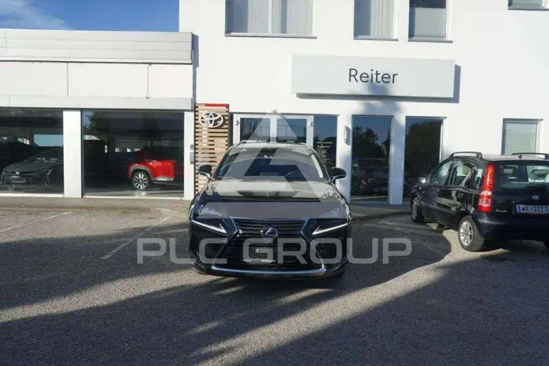 2018 Lexus NX300