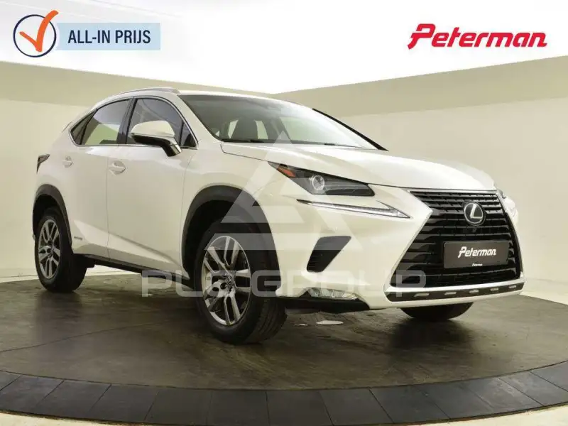 2018 Lexus NX300