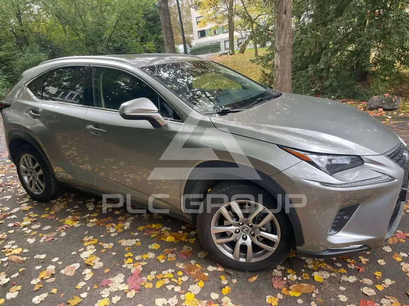 2018 Lexus NX300