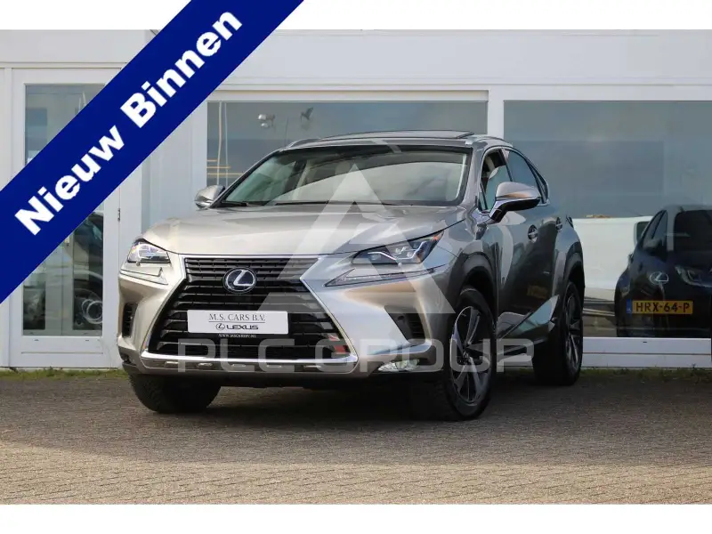 2018 Lexus NX300