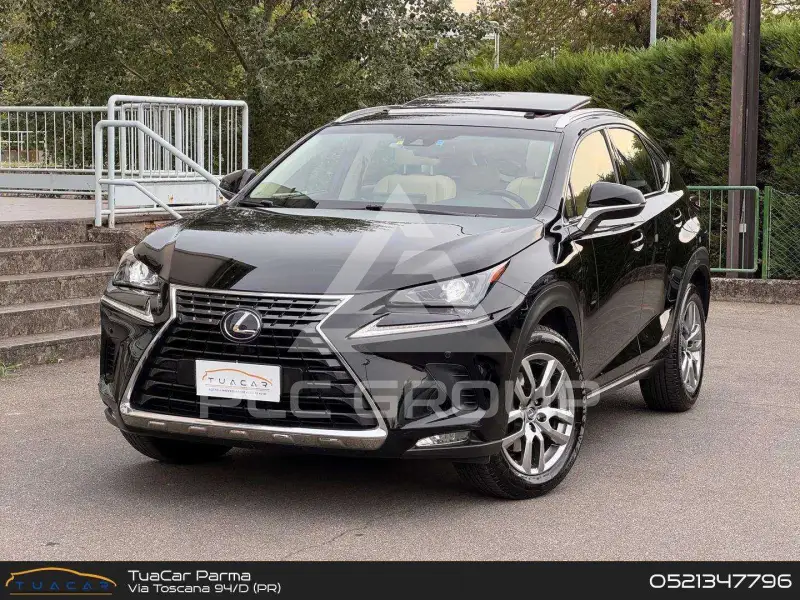 2018 Lexus NX300