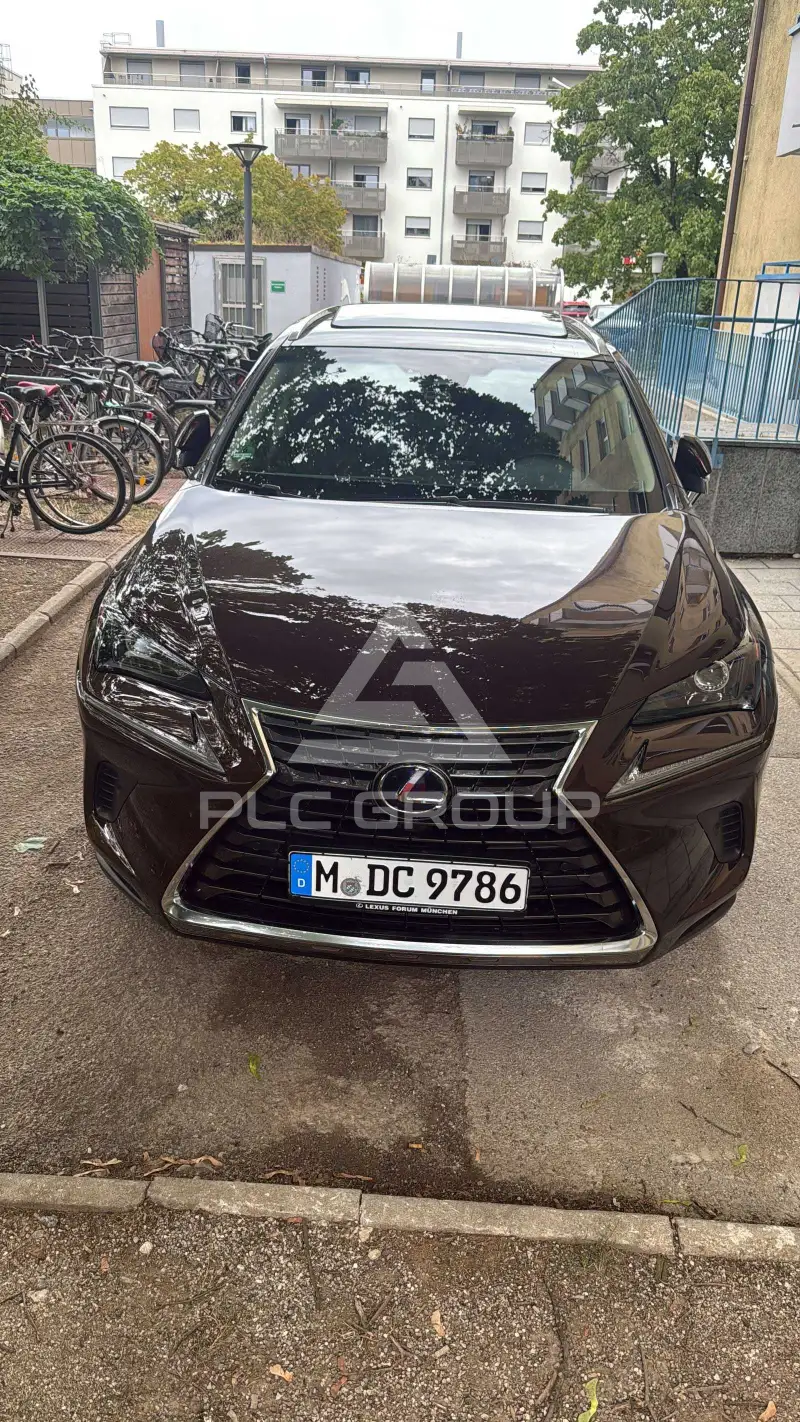 2018 Lexus NX300