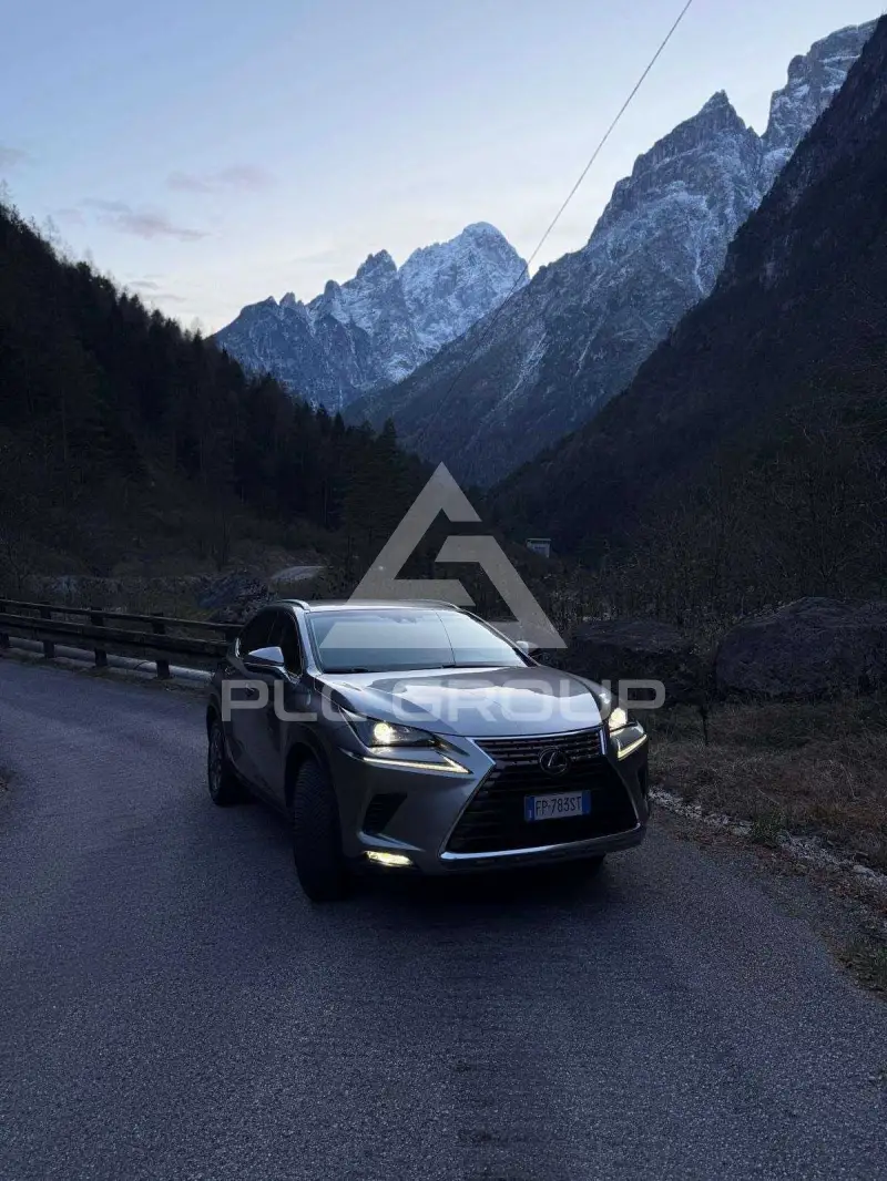 2018 Lexus NX300