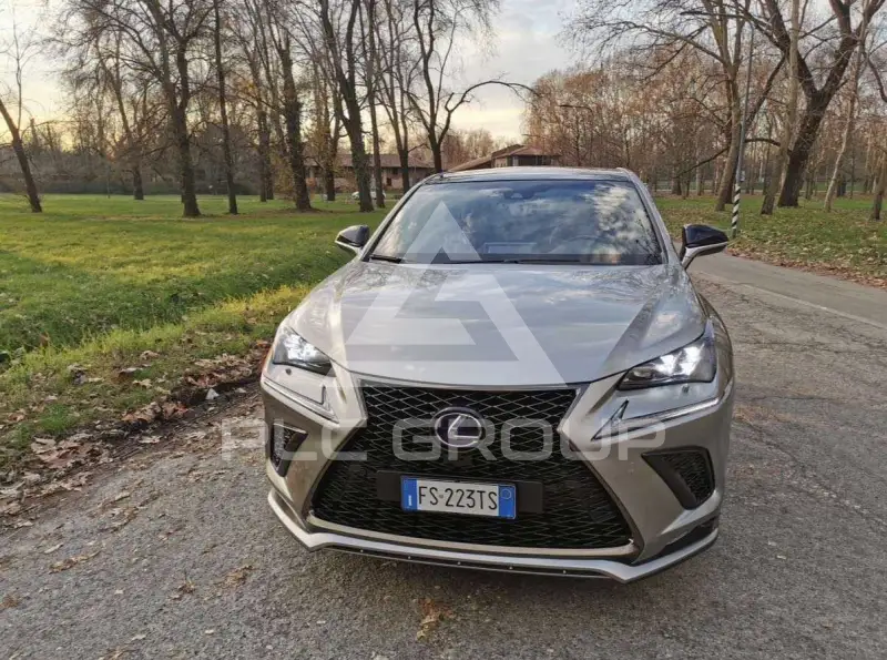 2018 Lexus NX300