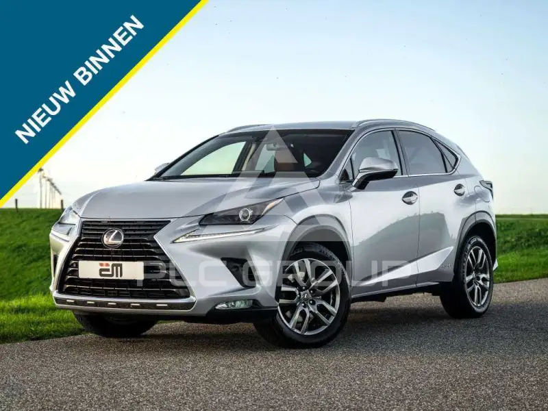 2018 Lexus NX300