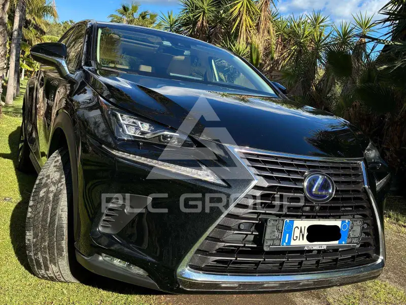 2018 Lexus NX300