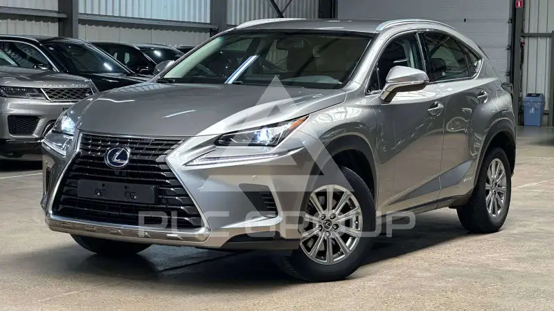 2018 Lexus NX300