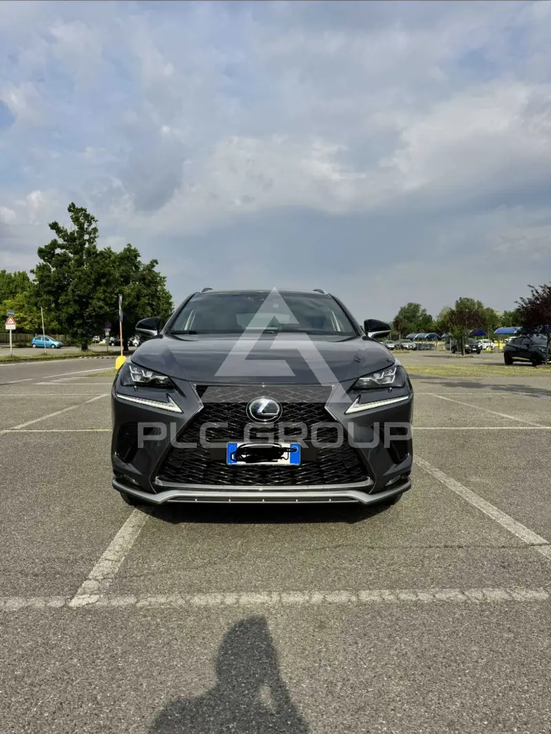 2018 Lexus NX300