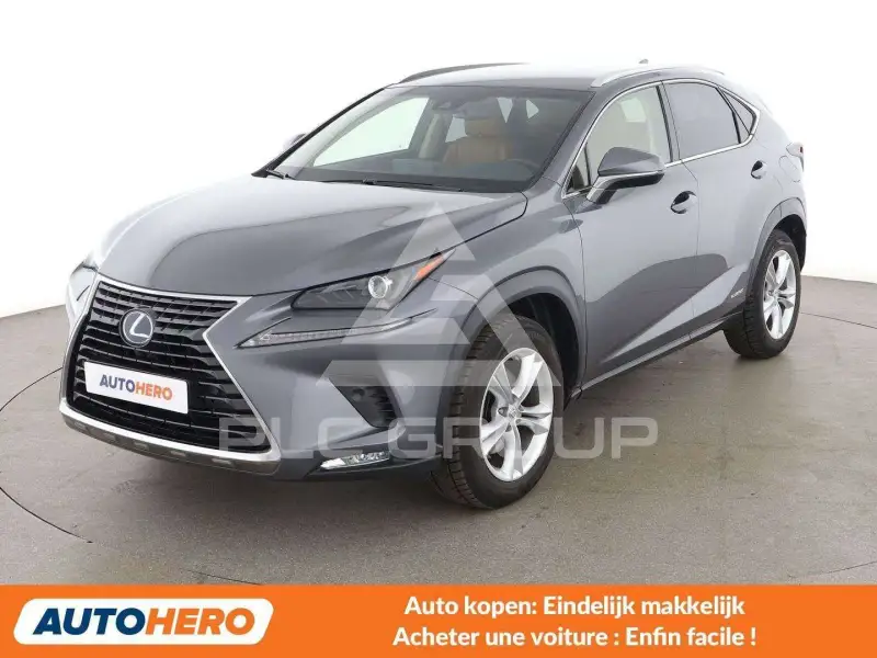 2018 Lexus NX300