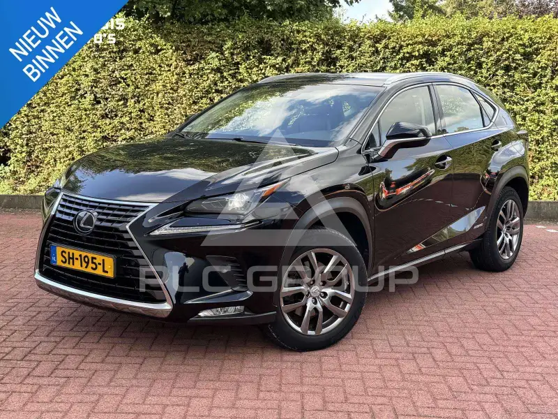 2018 Lexus NX300