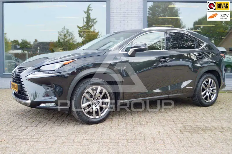 2018 Lexus NX300
