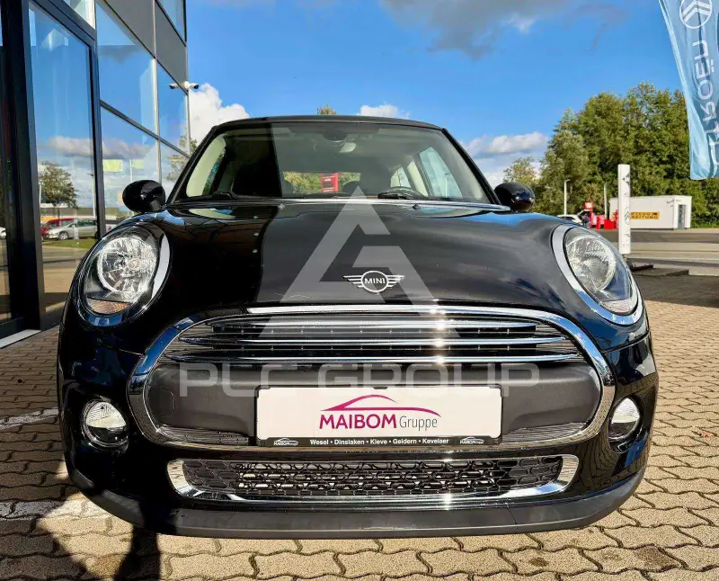 2018 Mini Unknown