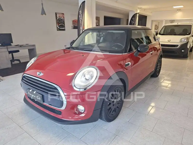 2018 Mini Unknown
