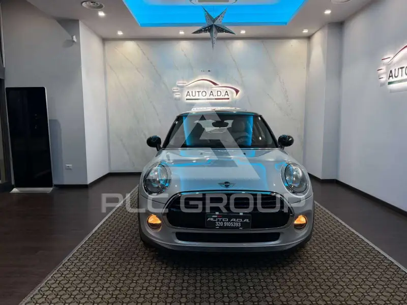 2018 Mini Unknown