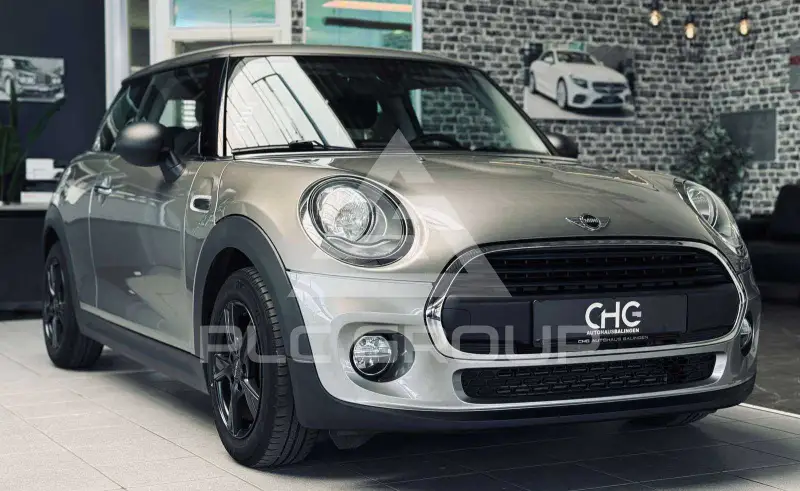 2018 Mini Unknown