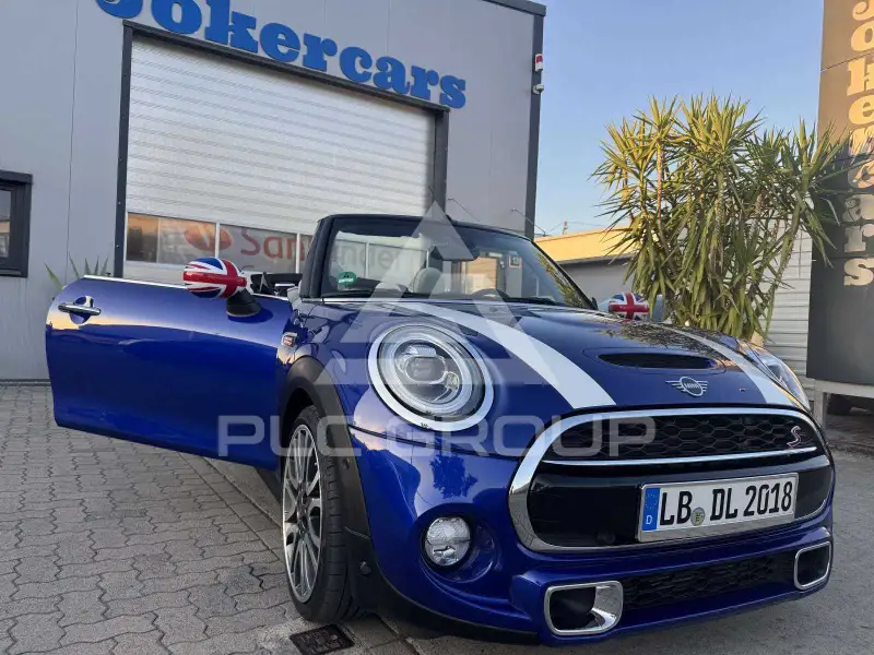 2018 Mini Unknown