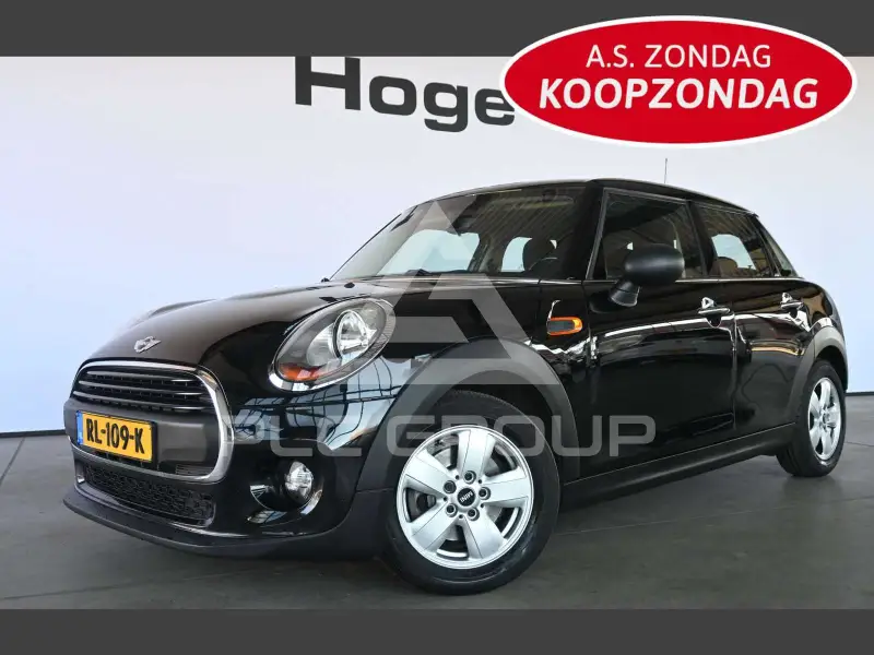 2018 Mini Unknown