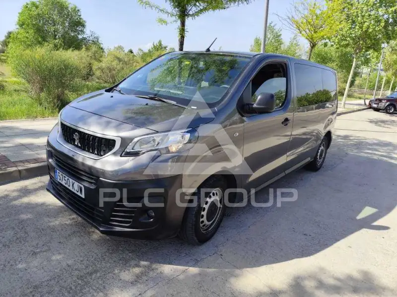 2018 Peugeot Traveller