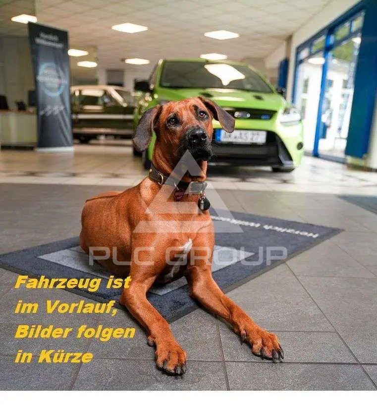 2018 Ford Tourneo