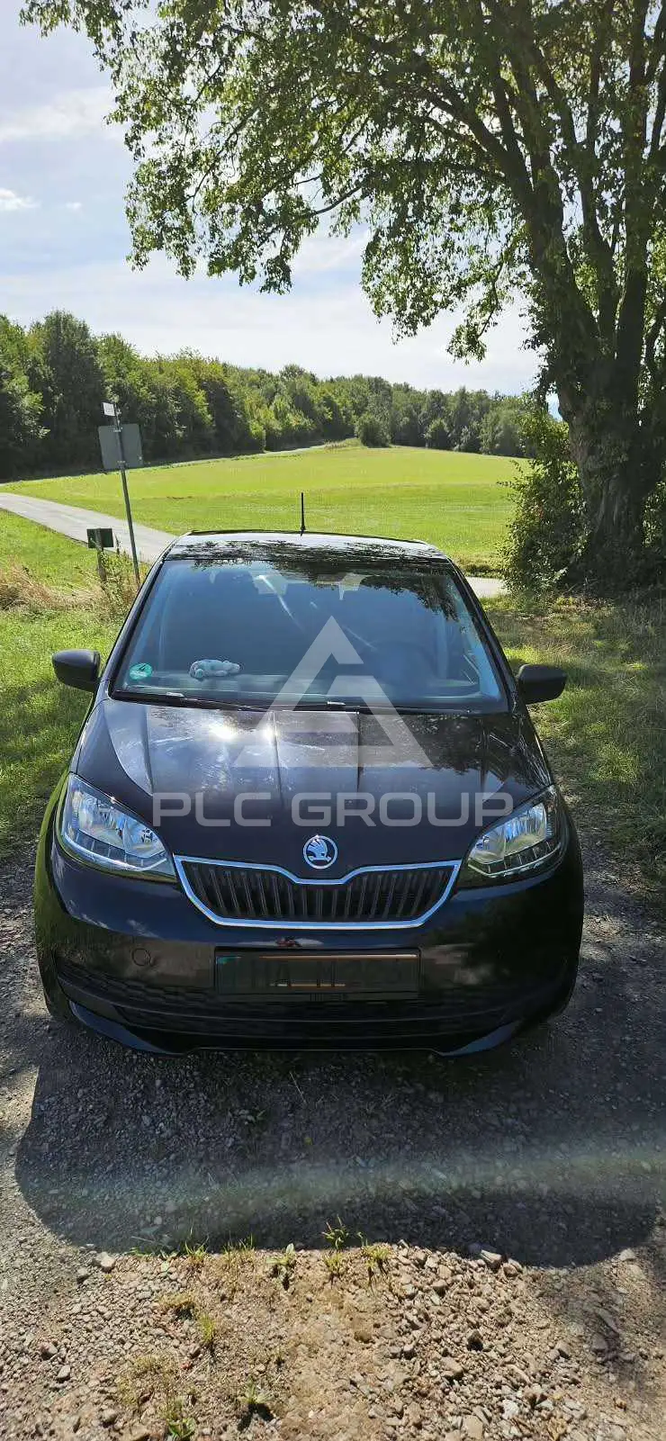 2019 Skoda Citigo