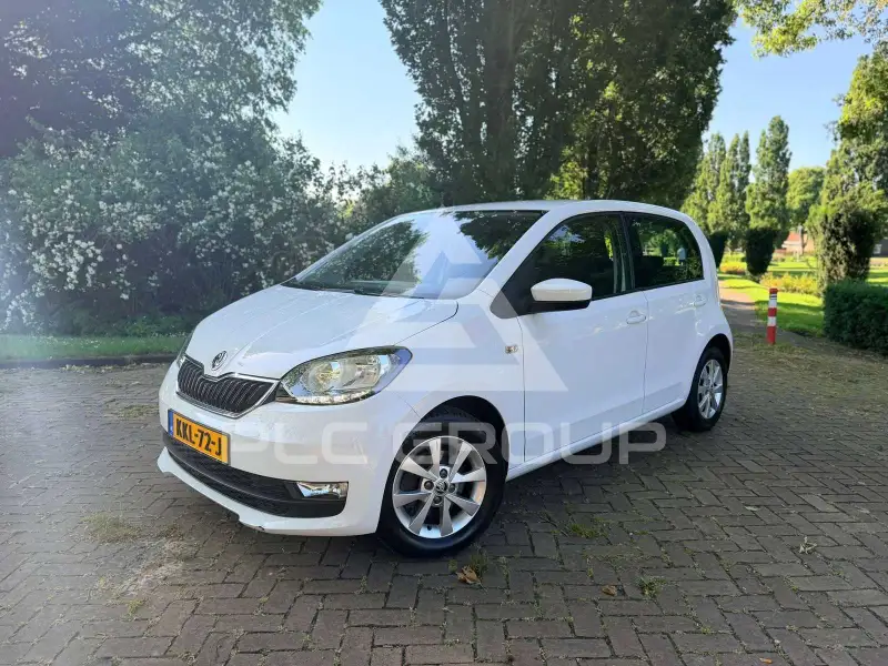 2019 Skoda Citigo