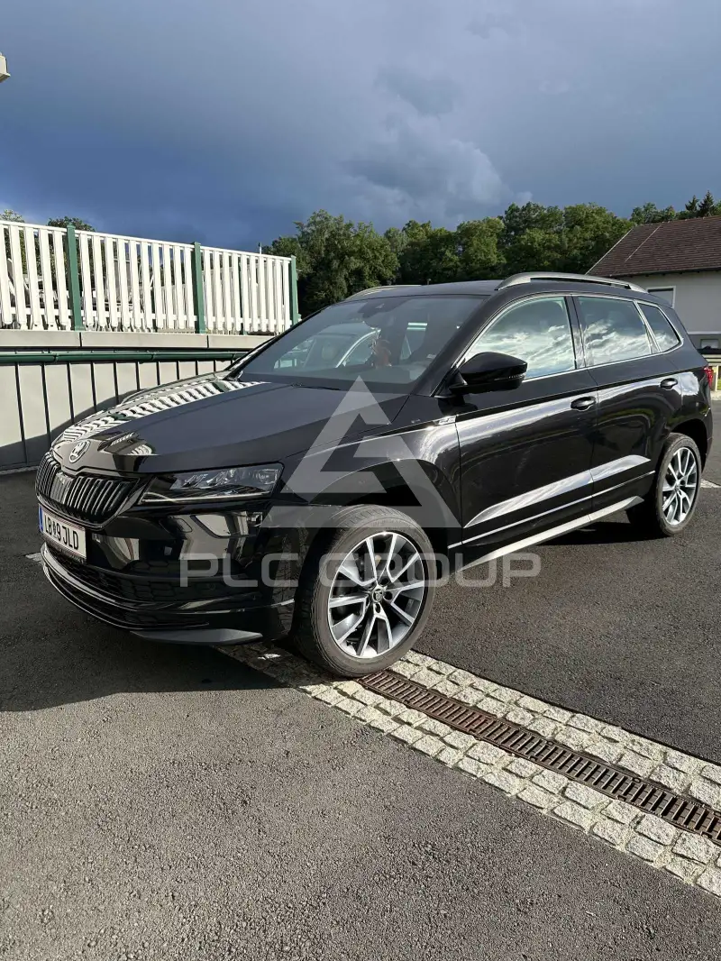 2019 Skoda Karoq