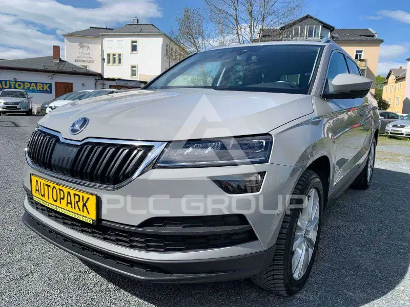 2019 Skoda Karoq