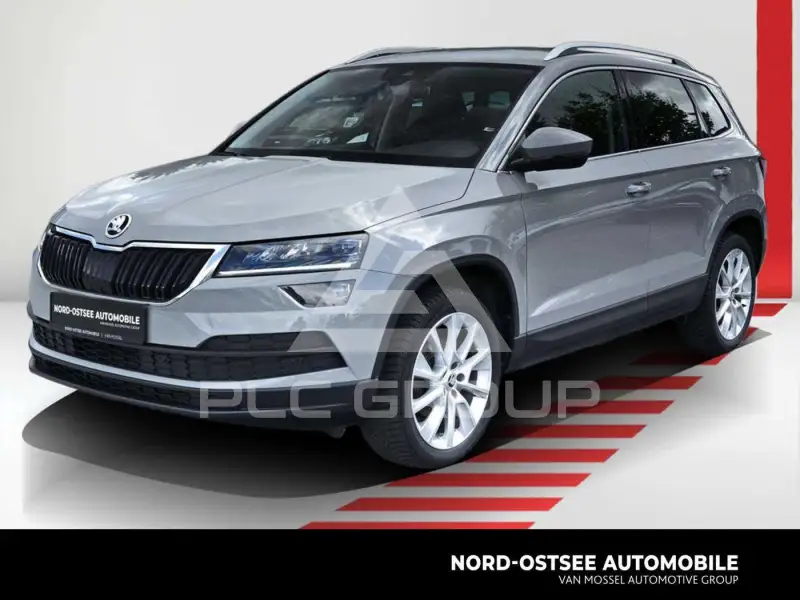 2019 Skoda Karoq
