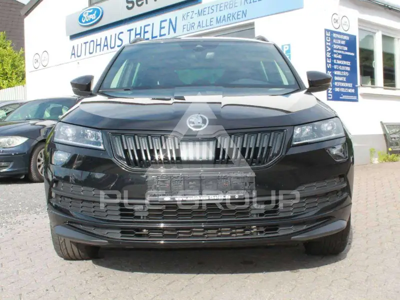 2019 Skoda Karoq