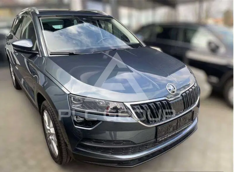 2019 Skoda Karoq