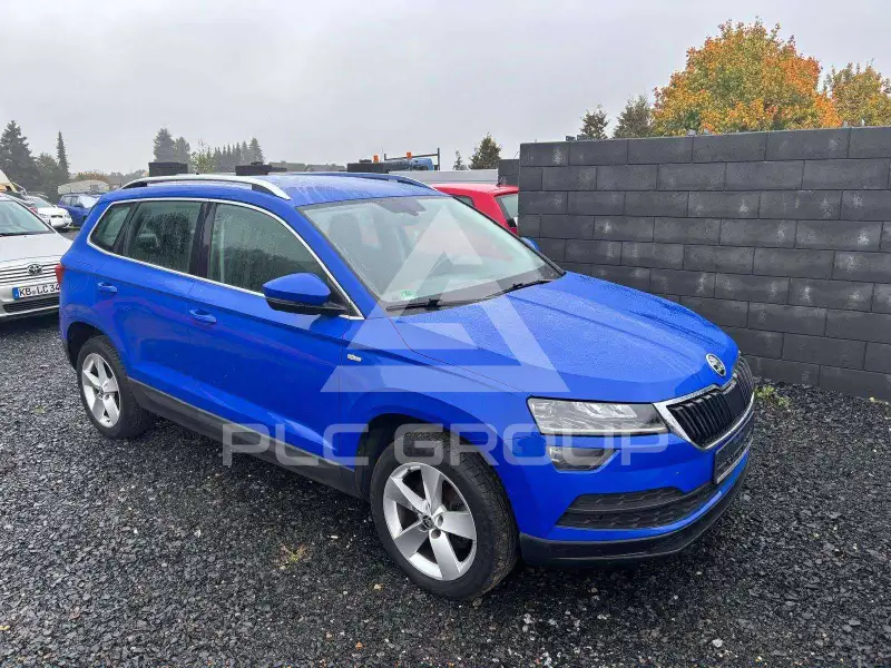 2019 Skoda Karoq