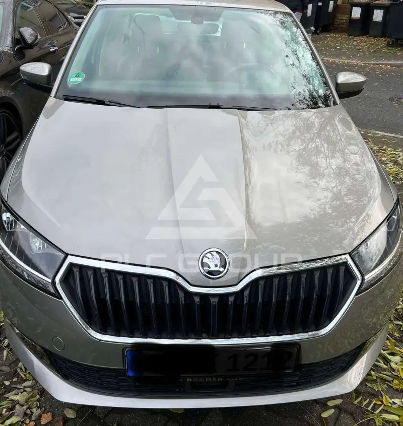 2019 Skoda Fabia