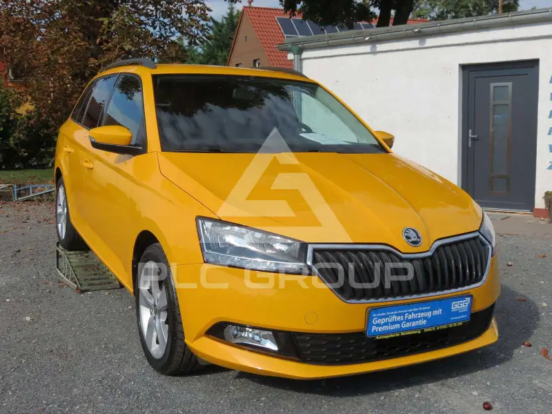 2019 Skoda Fabia