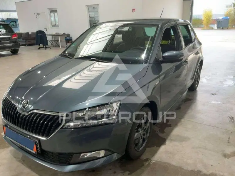 2019 Skoda Fabia