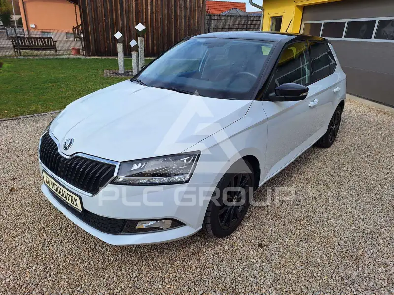 2019 Skoda Fabia