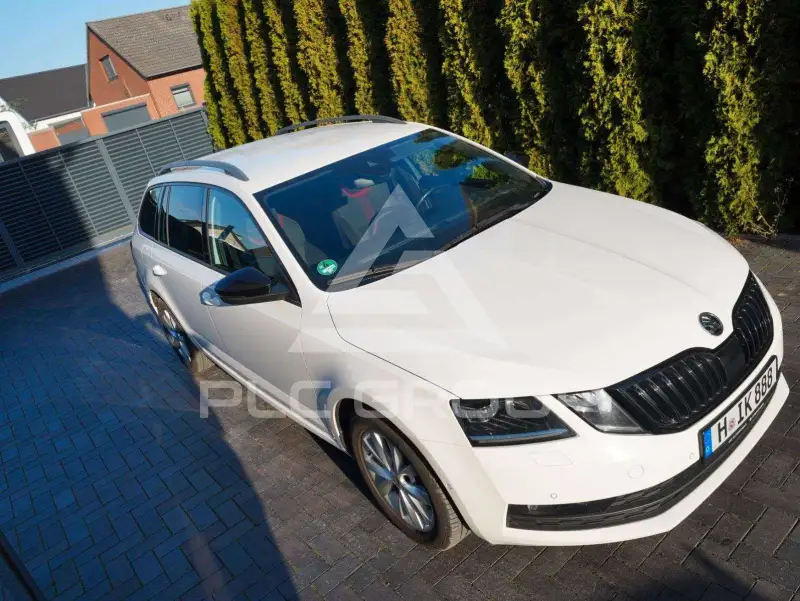 2019 Skoda Octavia